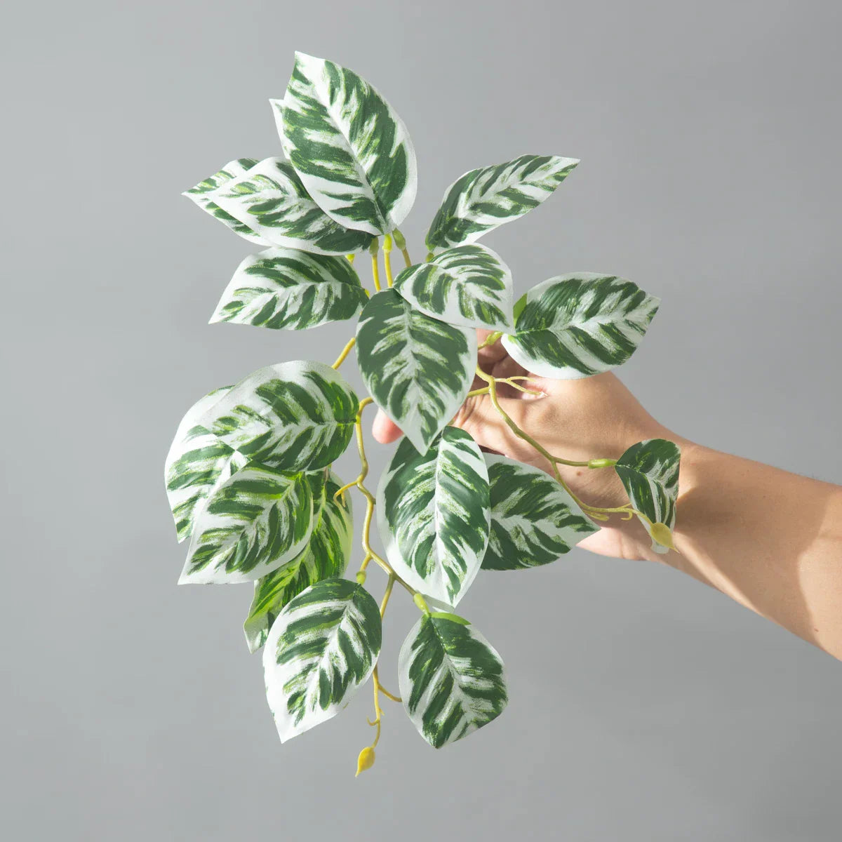 Dlight Decor 25cm Monstera Leaf Vine for Desktop and Holiday Decor Dlight Decor