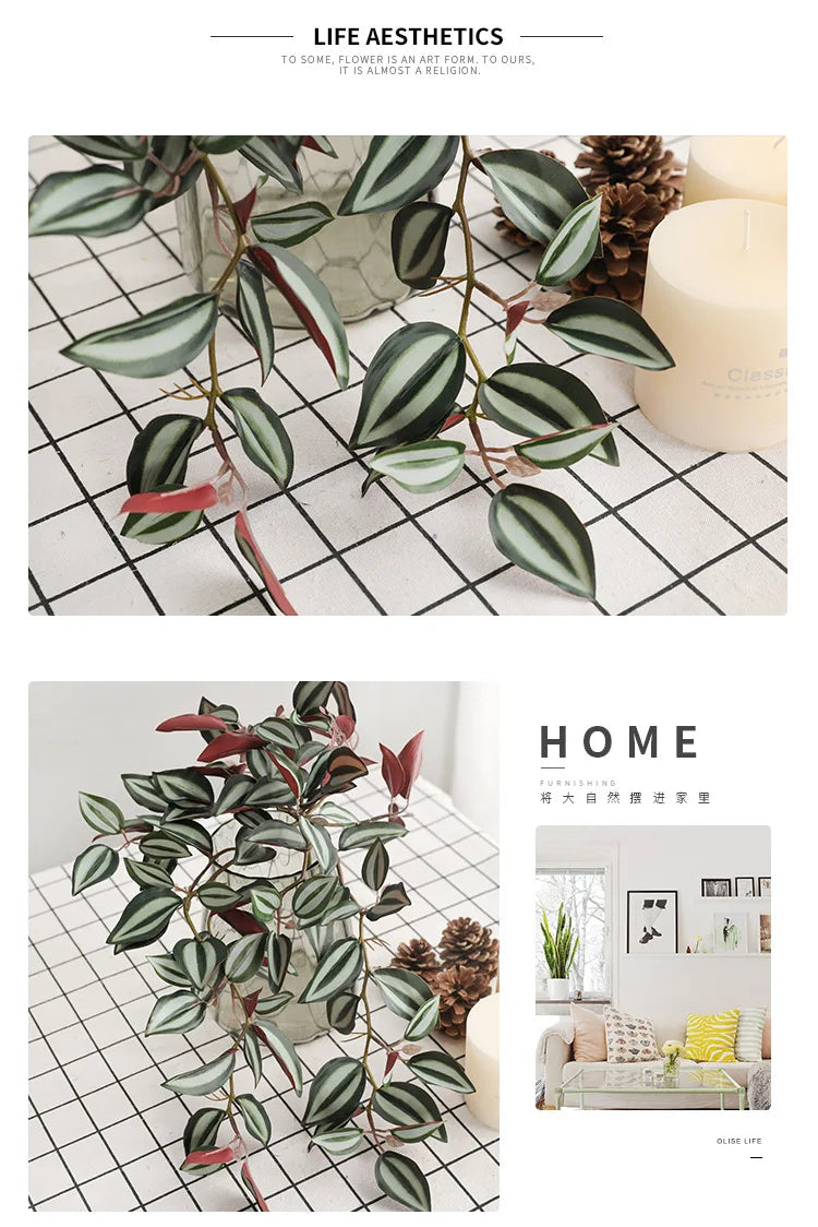 Dlight Decor Scindapsus Vine for Wall Hanging and Garden Styling Dlight Decor