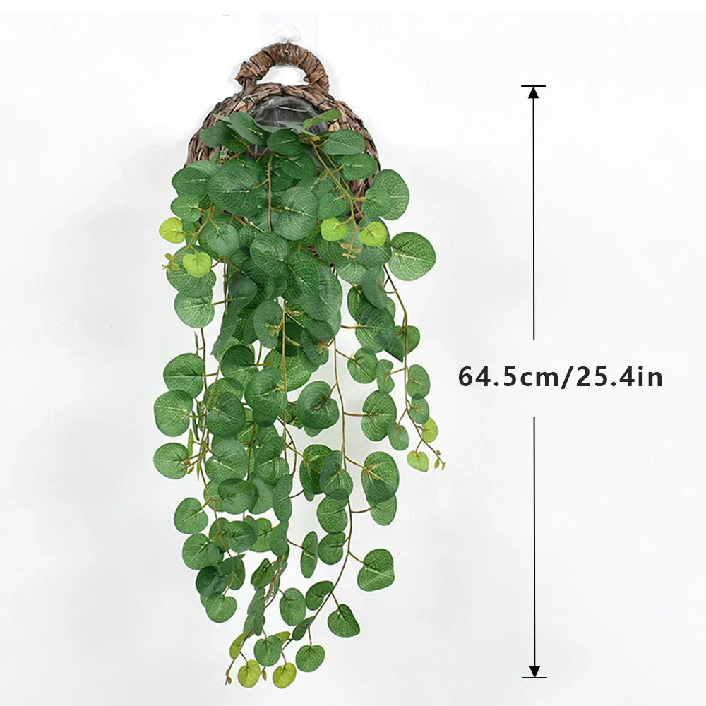 Dlight Decor Eucalyptus Begonia Vines for Hanging Garden and Wall Decor Dlight Decor