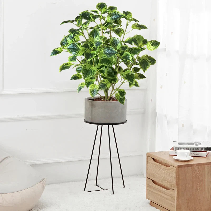 Dlight Decor Eucalyptus Tree for Tropical Indoor Floor Styling Dlight Decor