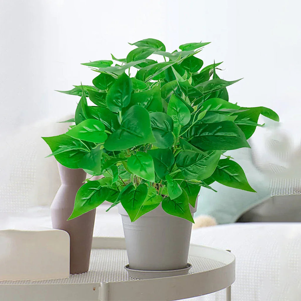 Dlight Decor 50cm Scindapsus Green Plant for Indoor Floor Display Dlight Decor
