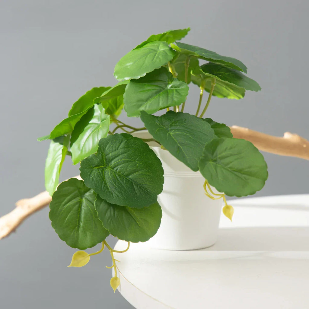 Dlight Decor 25cm Monstera Leaf Vine for Desktop and Holiday Decor Dlight Decor