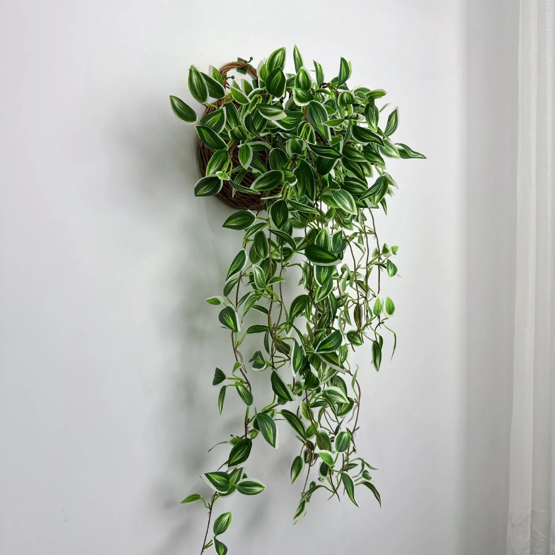 Dlight Decor 75cm Hanging Eucalyptus Vine with Scindapsus Leaves Dlight Decor