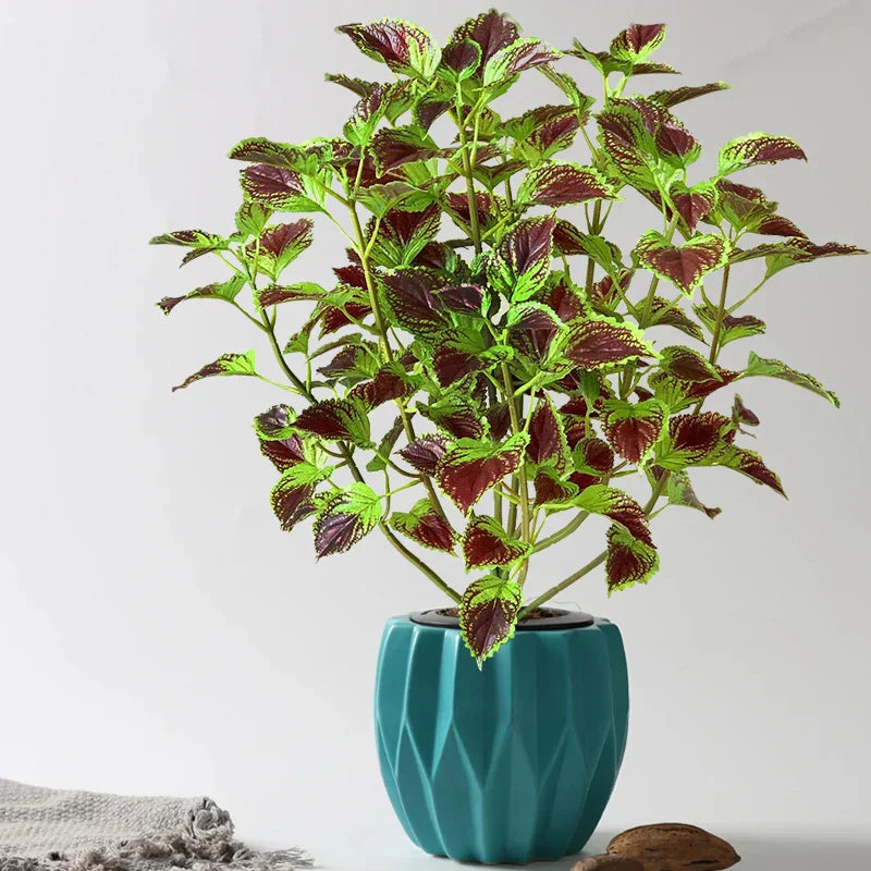 Dlight Decor Eucalyptus Tree for Tropical Indoor Floor Styling Dlight Decor