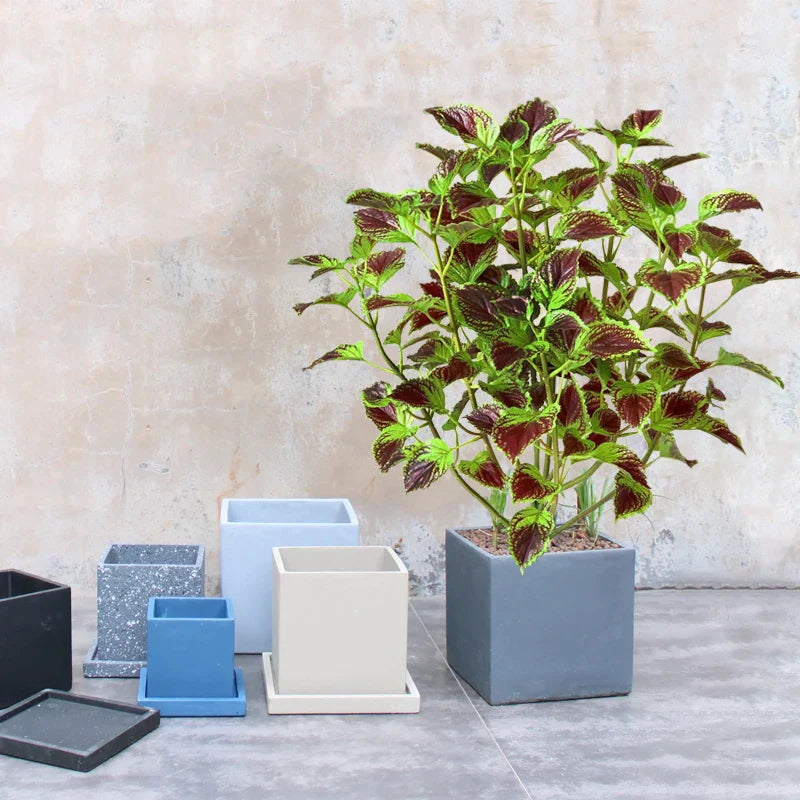 Dlight Decor Eucalyptus Tree for Tropical Indoor Floor Styling Dlight Decor
