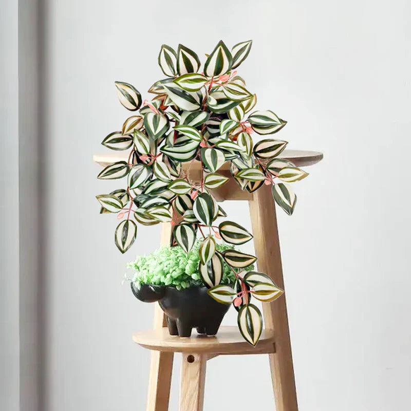Dlight Decor Scindapsus Vine for Wall Hanging and Garden Styling Dlight Decor