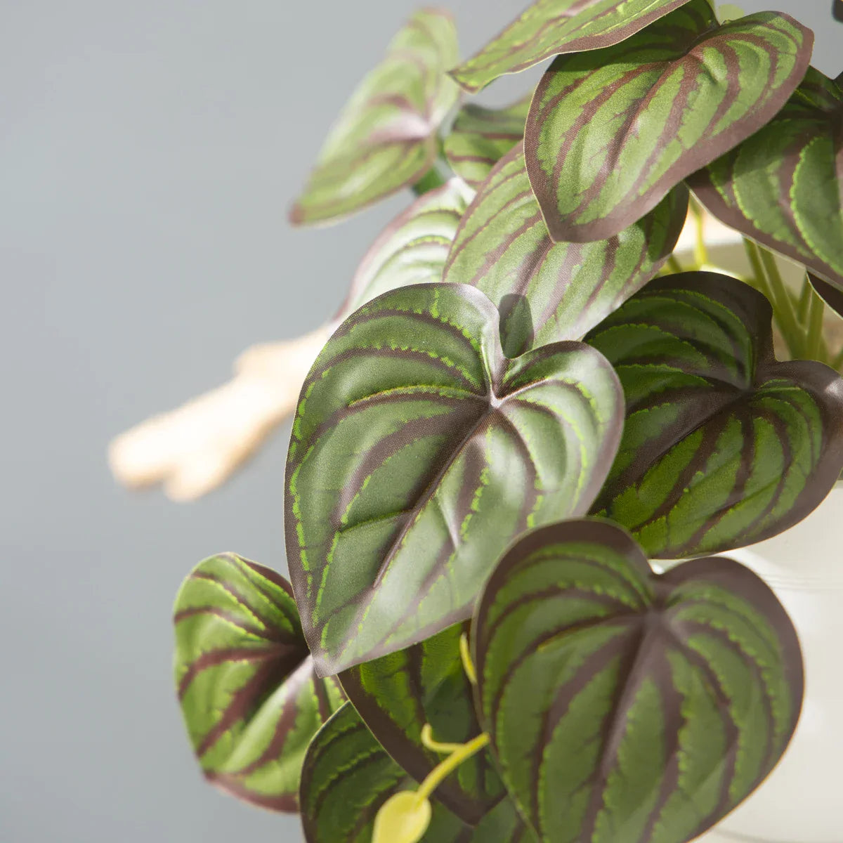 Dlight Decor 25cm Monstera Leaf Vine for Desktop and Holiday Decor Dlight Decor