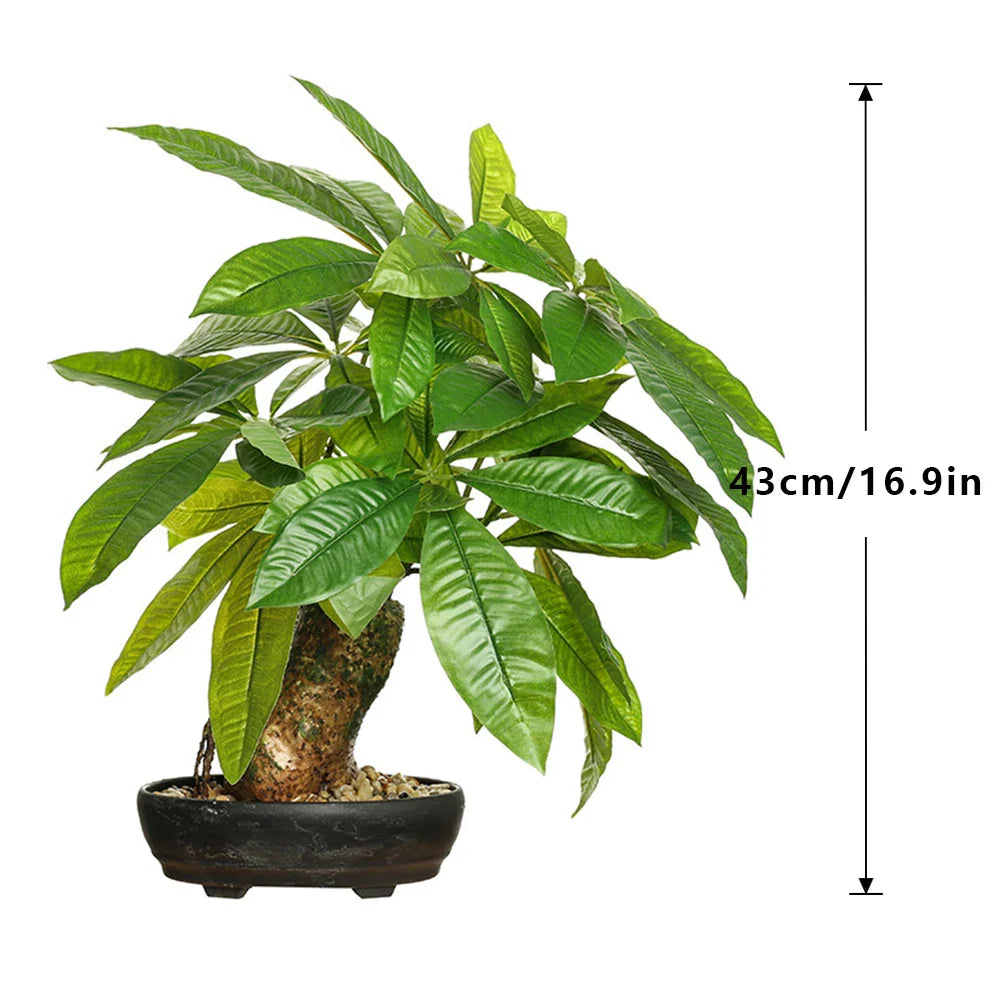Dlight Decor 43cm Potted Monstera Money Tree for Home and Garden Decor Dlight Decor