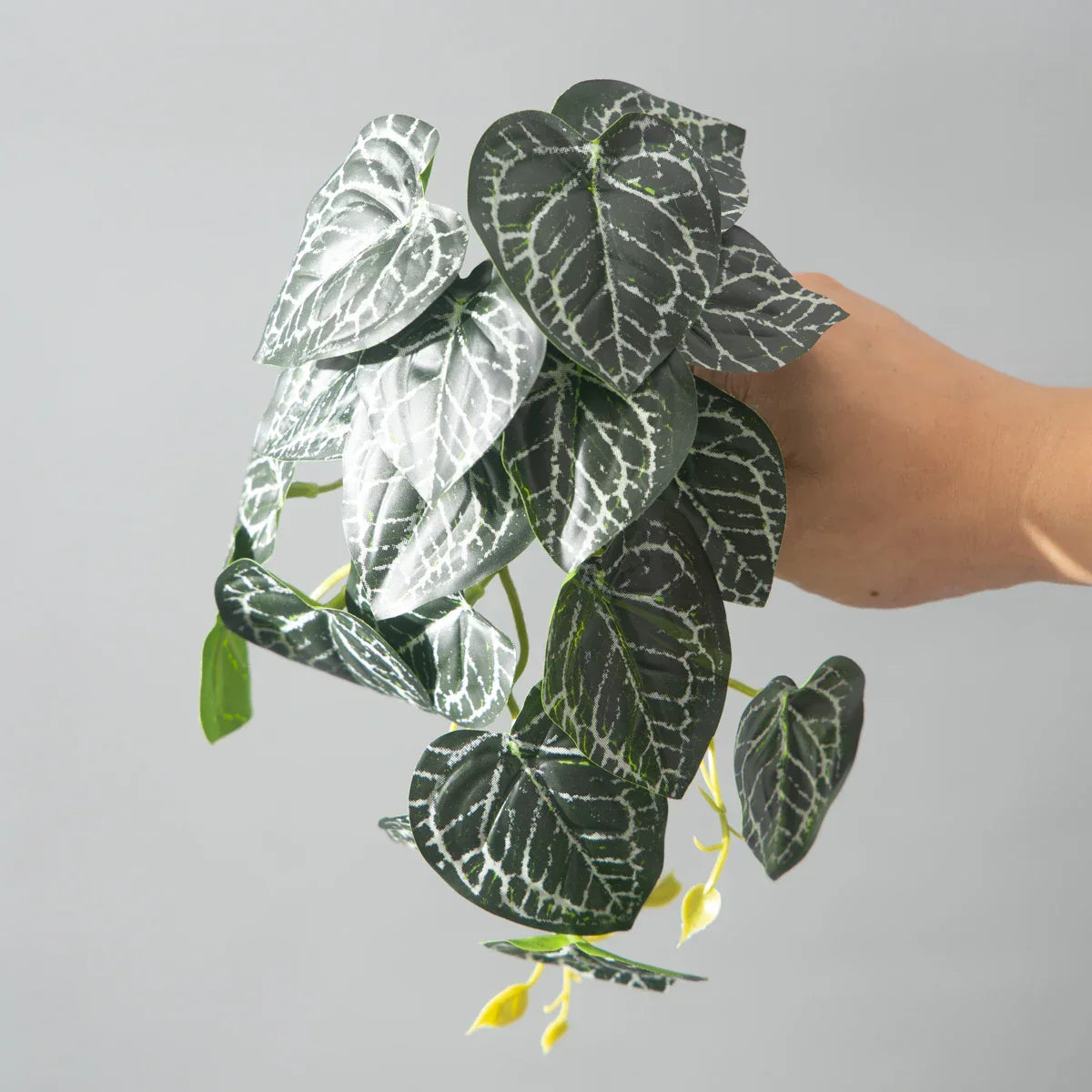 Dlight Decor 25cm Monstera Leaf Vine for Desktop and Holiday Decor Dlight Decor