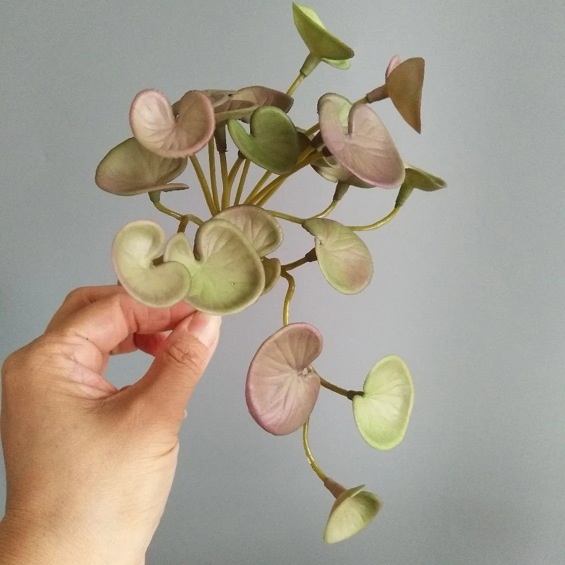 Dlight Decor 15cm Lucky Grass Foliage Bouquet for Home and Bonsai Decor Dlight Decor