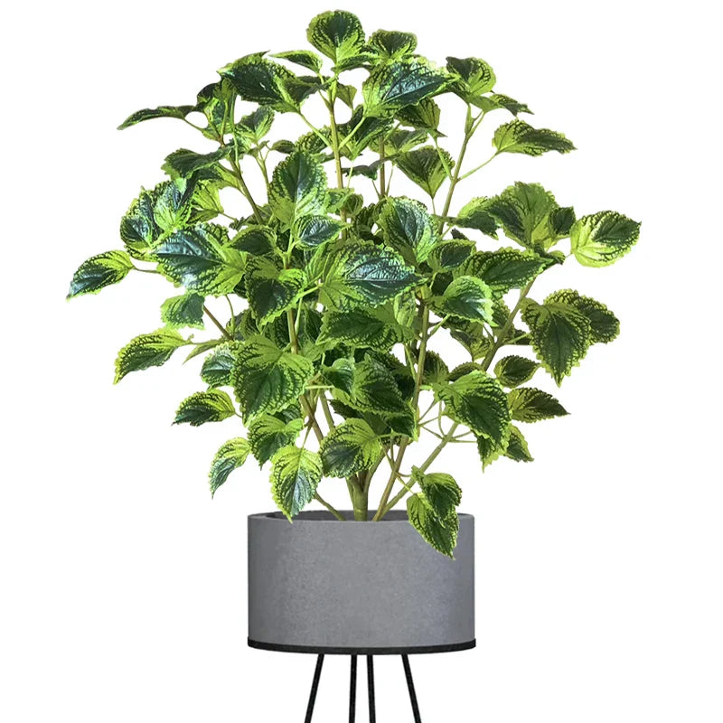 Dlight Decor Eucalyptus Tree for Tropical Indoor Floor Styling Dlight Decor