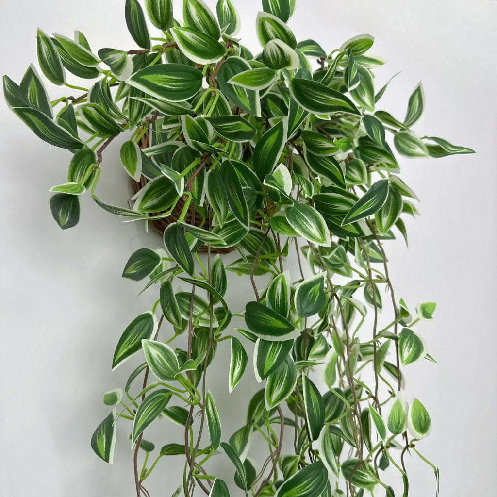 Dlight Decor 75cm Hanging Eucalyptus Vine with Scindapsus Leaves Dlight Decor