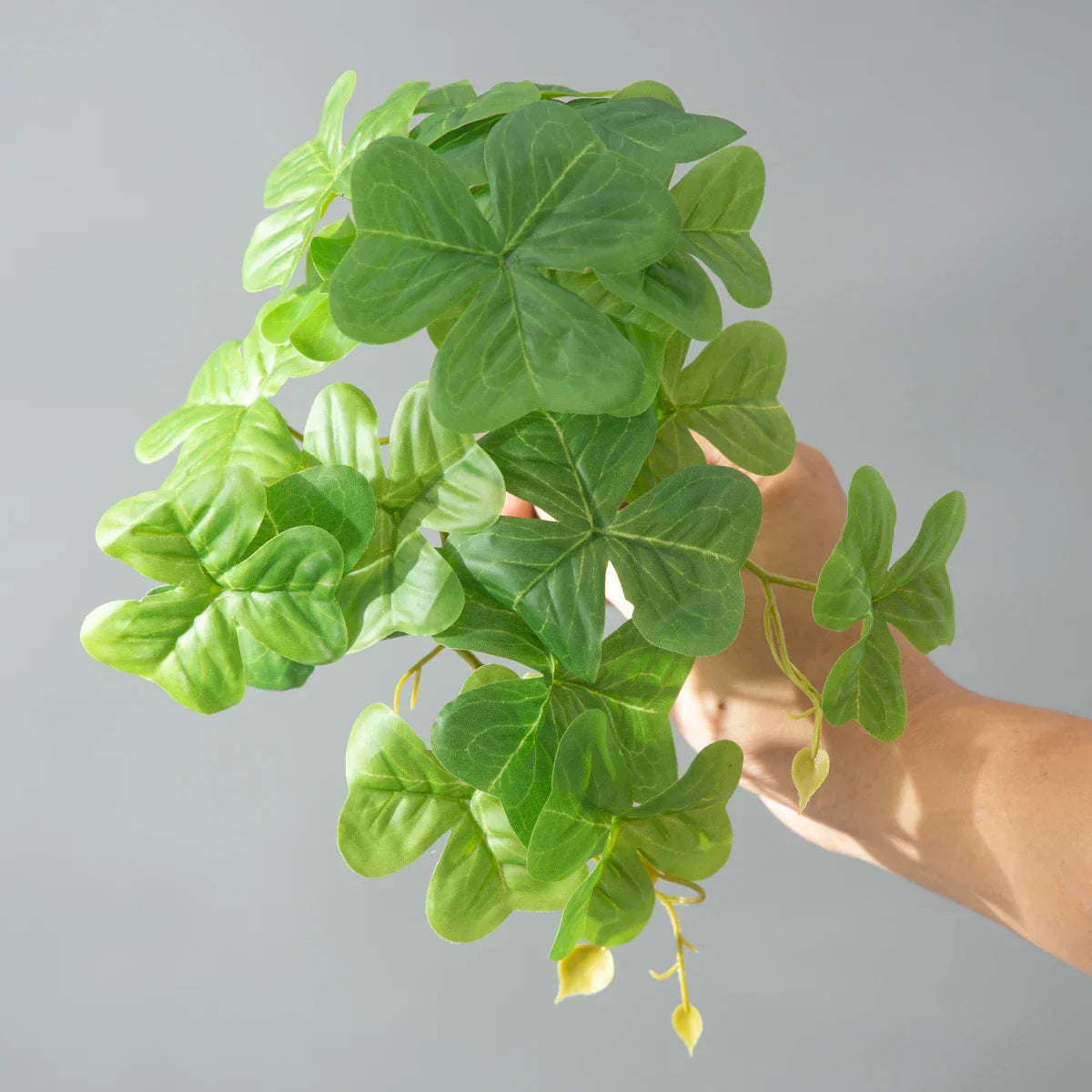 Dlight Decor 25cm Monstera Leaf Vine for Desktop and Holiday Decor Dlight Decor