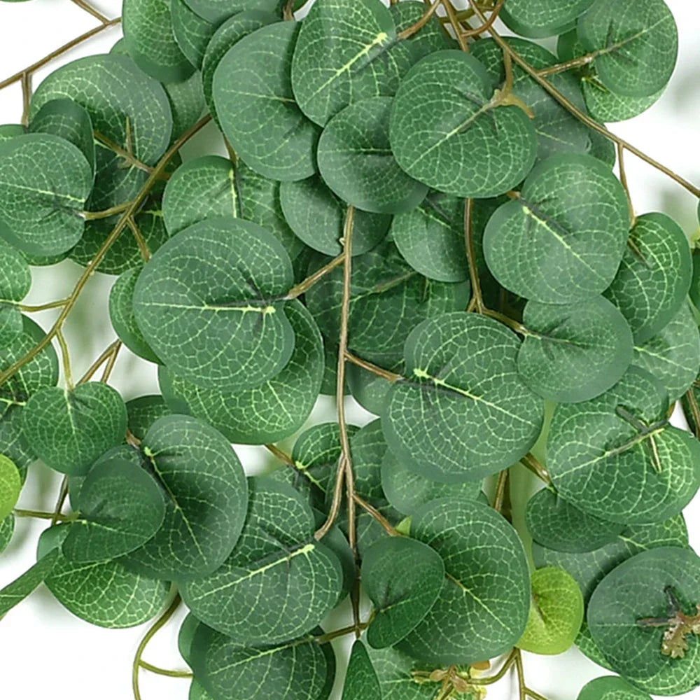 Dlight Decor Eucalyptus Begonia Vines for Hanging Garden and Wall Decor Dlight Decor