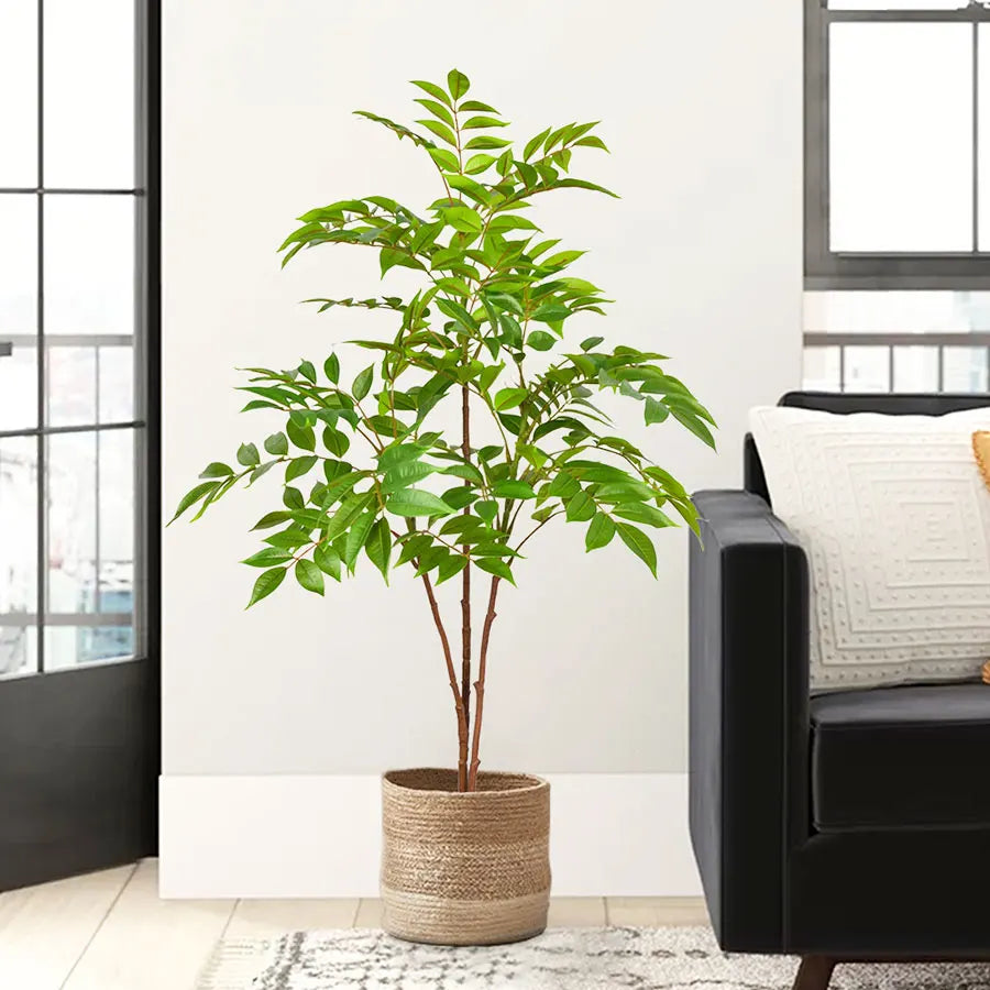 Dlight Decor Ficus Tree for Lush Indoor Outdoor Styling Dlight Decor