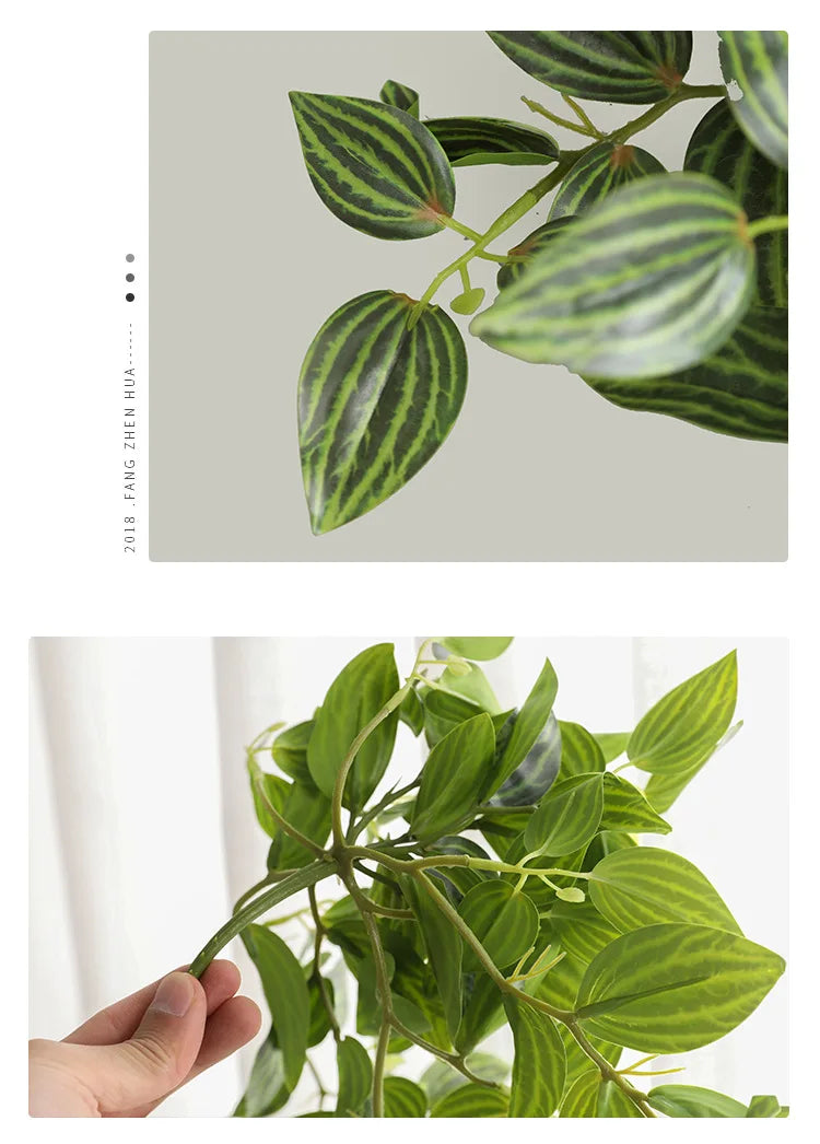 Dlight Decor Scindapsus Vine for Wall Hanging and Garden Styling Dlight Decor