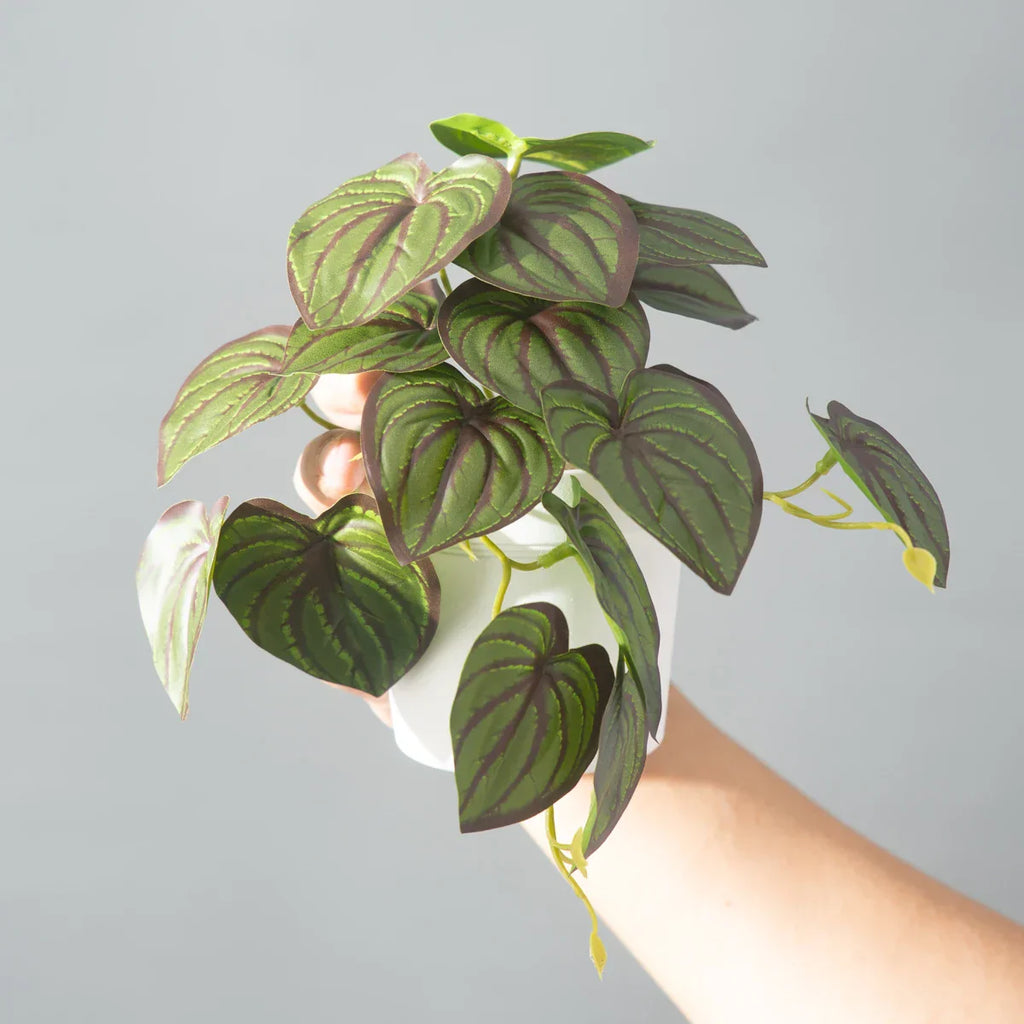 Dlight Decor 25cm Monstera Leaf Vine for Desktop and Holiday Decor Dlight Decor