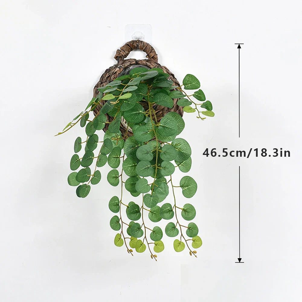 Dlight Decor Eucalyptus Begonia Vines for Hanging Garden and Wall Decor Dlight Decor