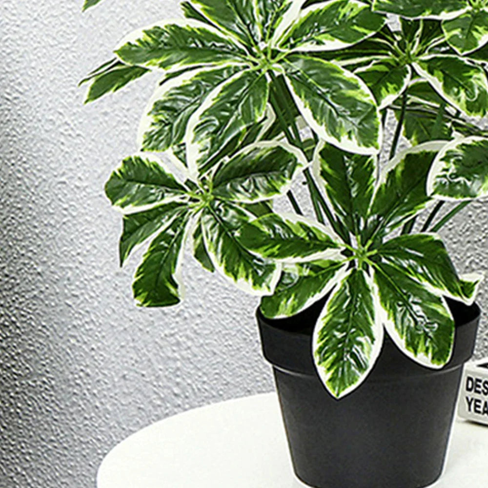 Dlight Decor 65 to 75cm Tropical Monstera Plant with Turtle Leaves Dlight Decor