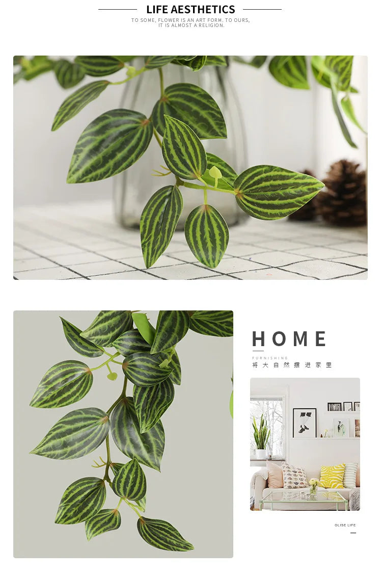 Dlight Decor Scindapsus Vine for Wall Hanging and Garden Styling Dlight Decor