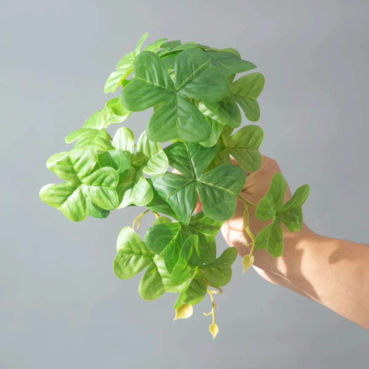 Dlight Decor 25cm Monstera Leaf Vine for Desktop and Holiday Decor Dlight Decor