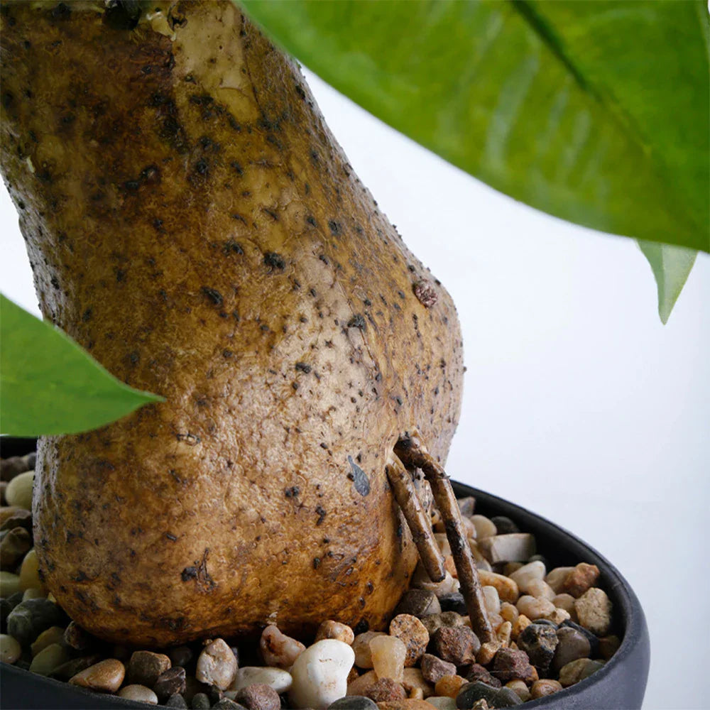 Dlight Decor 43cm Potted Monstera Money Tree for Home and Garden Decor Dlight Decor