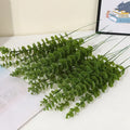 Dlight Decor 42cm Eucalyptus Branches with Money Leaves Set Dlight Decor