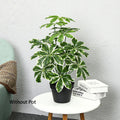 Dlight Decor 65 to 75cm Tropical Monstera Plant with Turtle Leaves Dlight Decor
