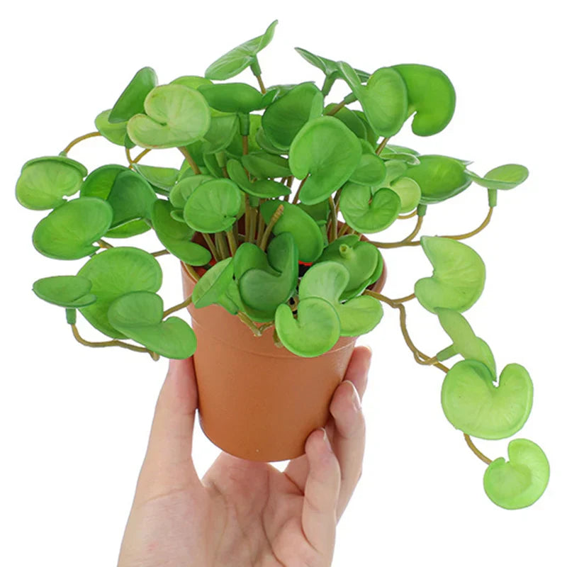 Dlight Decor 15cm Lucky Grass Foliage Bouquet for Home and Bonsai Decor Dlight Decor