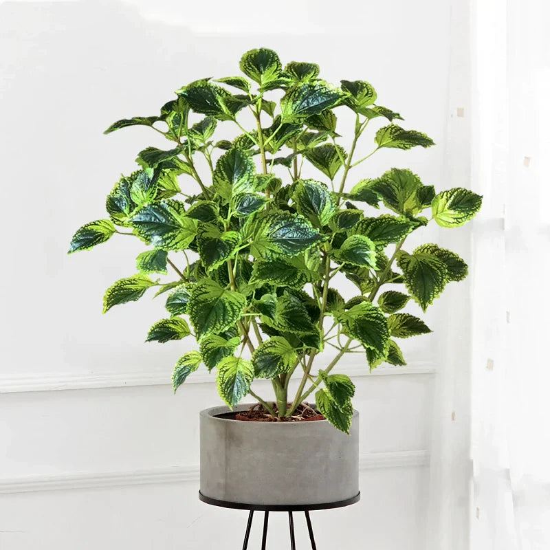Dlight Decor Eucalyptus Tree for Tropical Indoor Floor Styling Dlight Decor