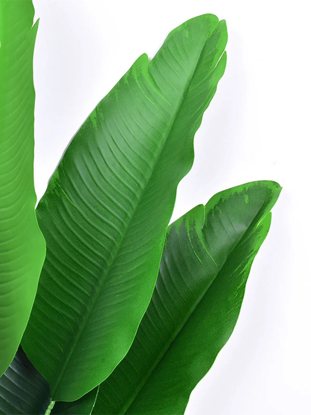 Dlight Decor 78cm Tall Tropical Monstera Plant with Banana Leaves Dlight Decor