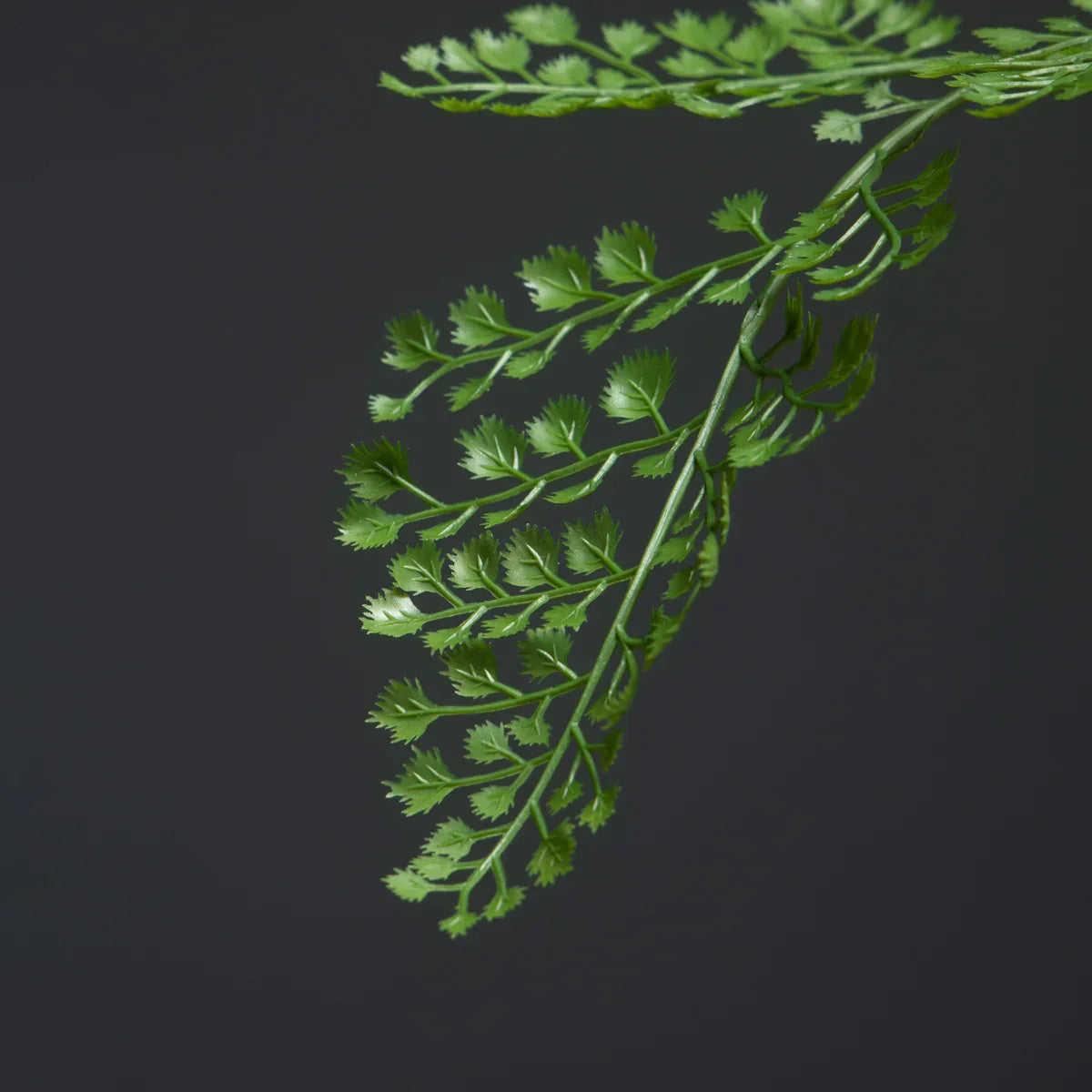 Dlight Decor 88cm Tropical Palm Fern Branch with Real Touch Leaves Dlight Decor