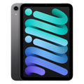 Apple iPad Mini (6th Gen, 2021) (Wi-Fi + Cellular)
